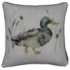Country Living Duck Print Cushion - 43x43cm -Optimal Furniture Store 12887247 1214848434466261