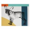 French Bull Dog Canvas 1 French Bull Dog Canvas -Optimal Furniture Store 12918321 5894893076973592