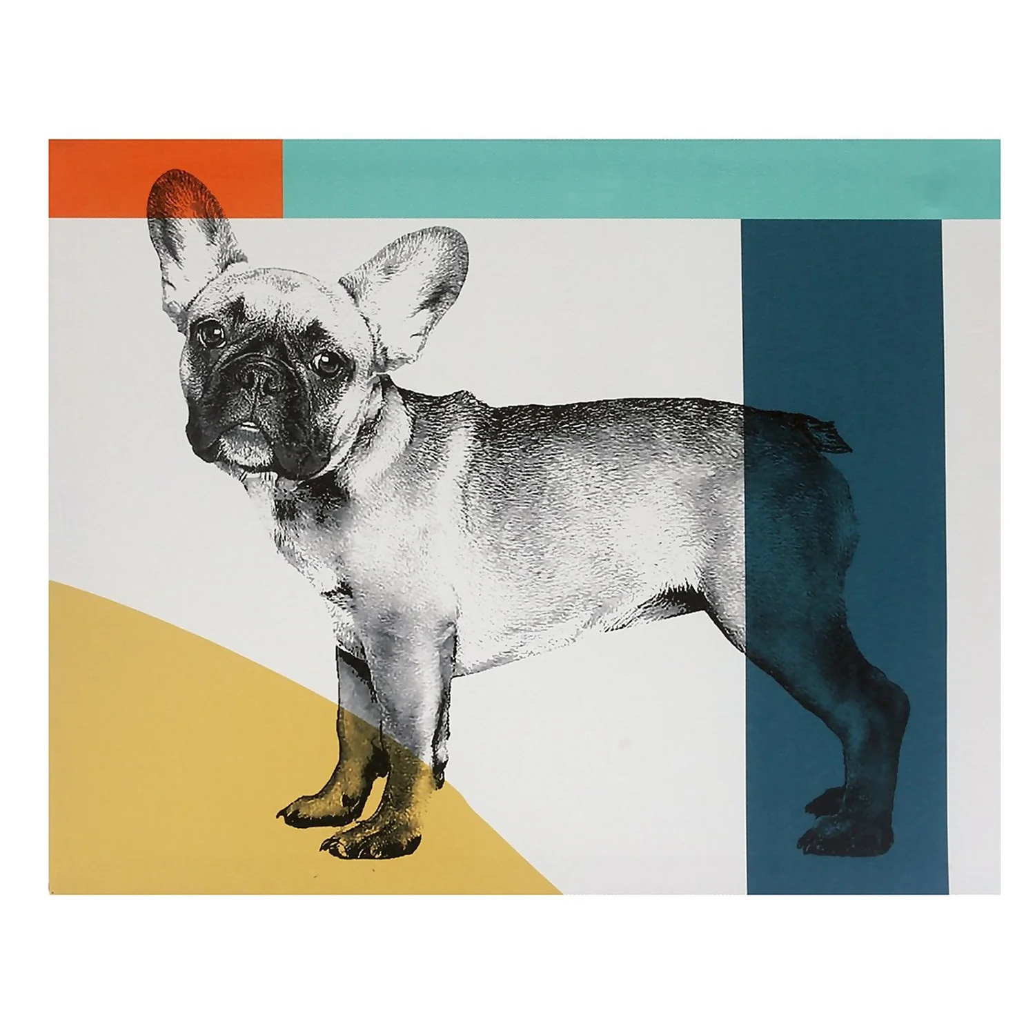 French Bull Dog Canvas 3 French Bull Dog Canvas