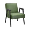 Alex Mid Century Armchair - Green -Optimal Furniture Store 13514418 1344964542917606