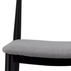 Maddie Dining Chair - Set Of 2 - Black -Optimal Furniture Store 13644196 1935004228026496
