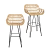 Ronnie Rattan Bar Stool - Set Of 2 -Optimal Furniture Store 13863935 5725023398892233