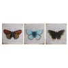 Set Of 3 Butterfly Wall Plaques - 20x20cm -Optimal Furniture Store 14820977 1615057935827906
